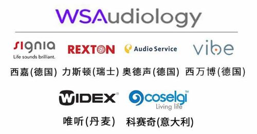 世界五大聽力集團技術優(yōu)勢與產品系列解析 如何選擇最適合的助聽器品牌？