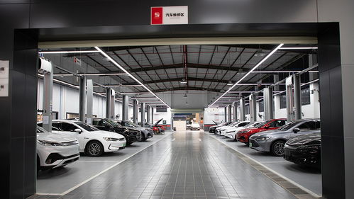 比亞迪自營(yíng)車(chē)險(xiǎn)首單落地 比傳統(tǒng)險(xiǎn)企省600元，這事兒靠譜嗎？